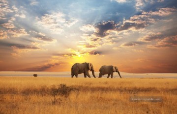 Elefanten zu Fuß auf Herbst Wiese Sonnenuntergang Malerei von Fotos zu Kunst Ölgemälde